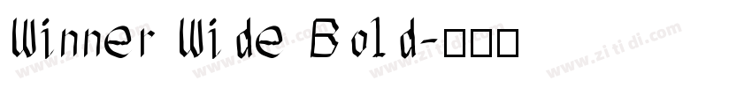 Winner Wide Bold字体转换